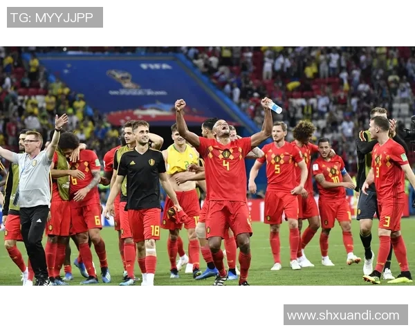 比利时已故足球传奇人物生平回顾与影响力分析